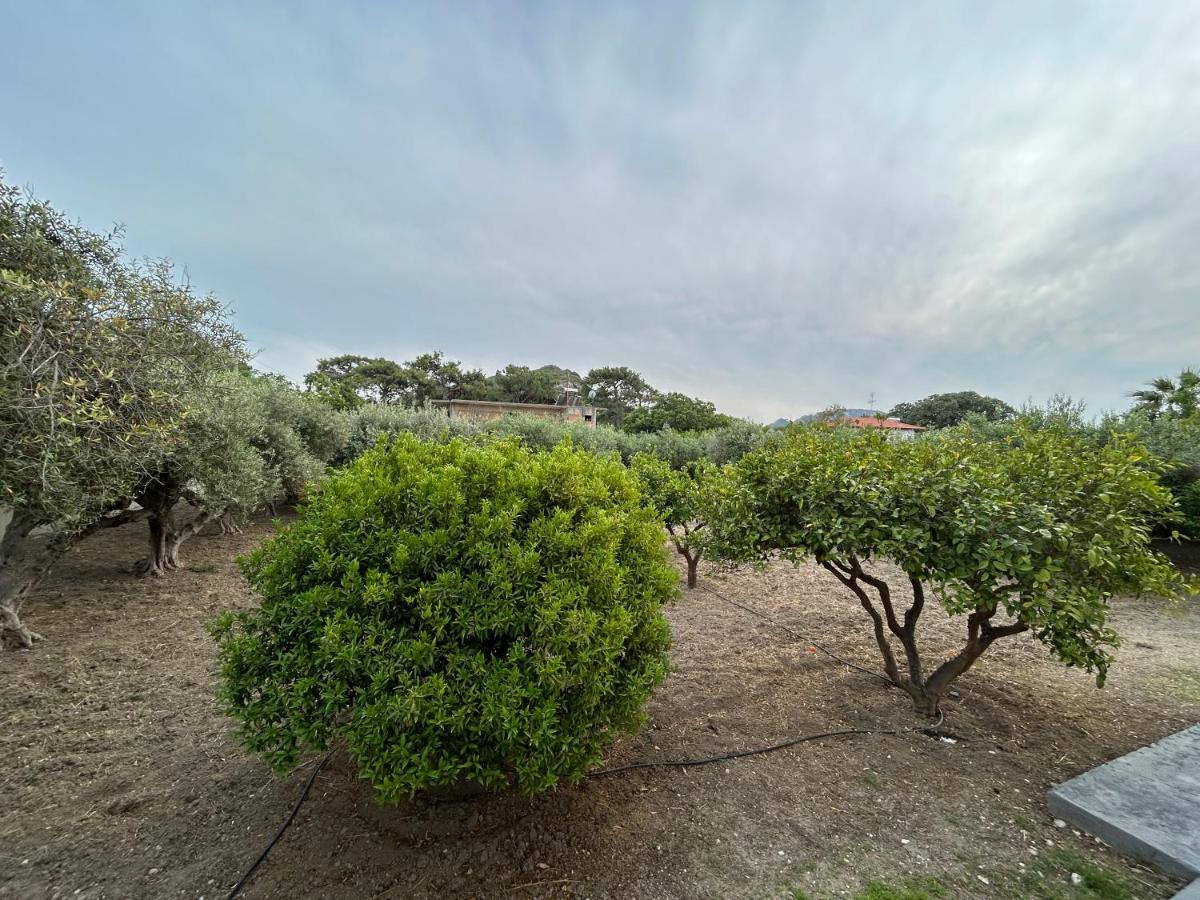 Lina'S Amazing House In Ialysos Villa อิกเซีย ภายนอก รูปภาพ